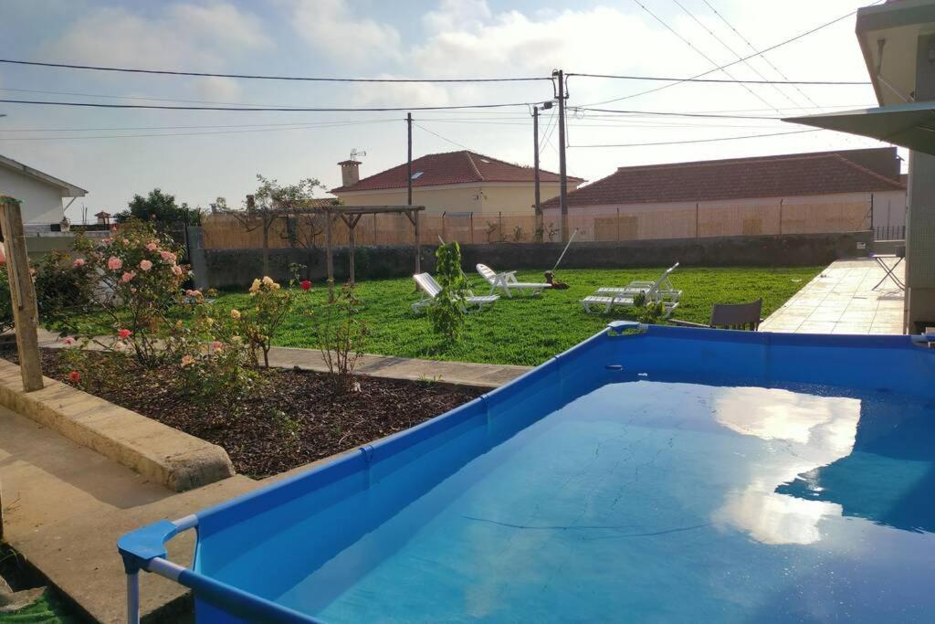House With Pool And Garden In Esmoriz Near Porto别墅 外观 照片