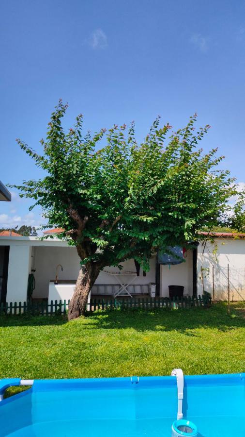 House With Pool And Garden In Esmoriz Near Porto别墅 外观 照片